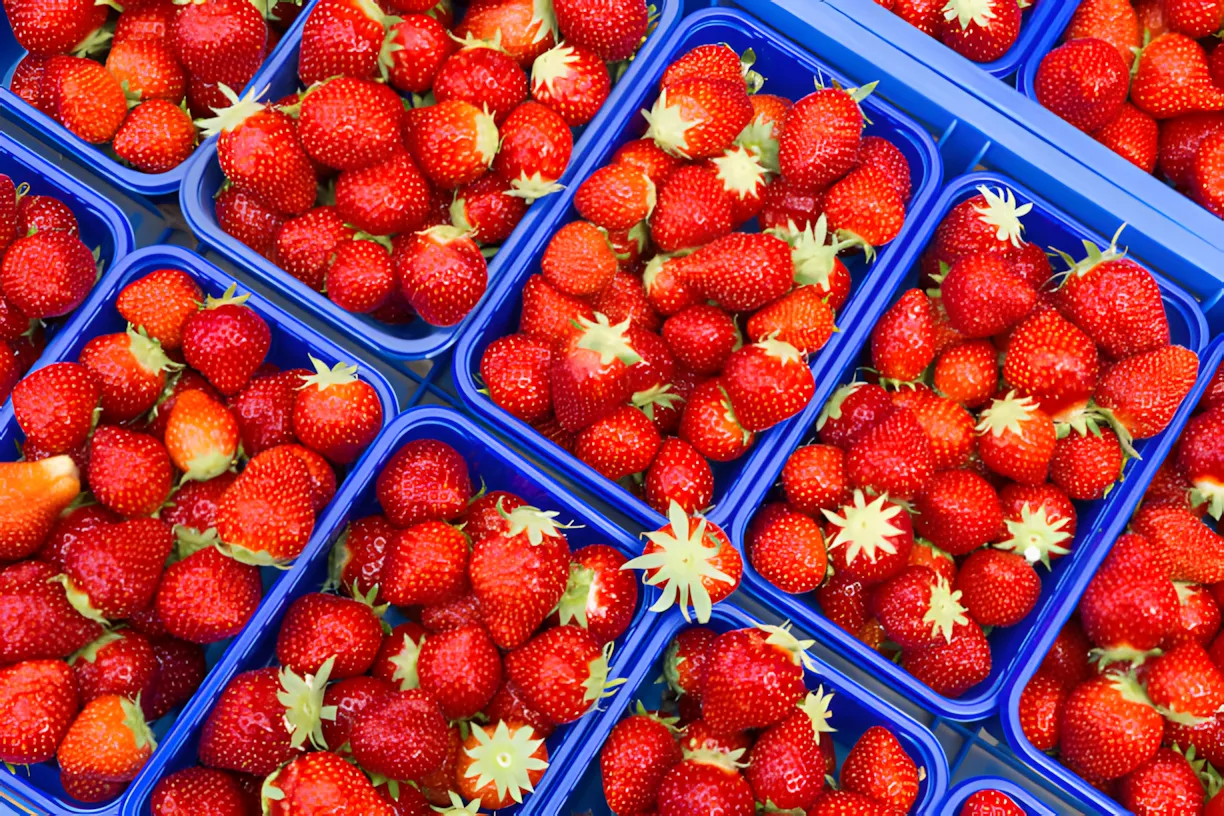 Hoe koop je de meest verse aardbeien? Let op deze 5 tekens