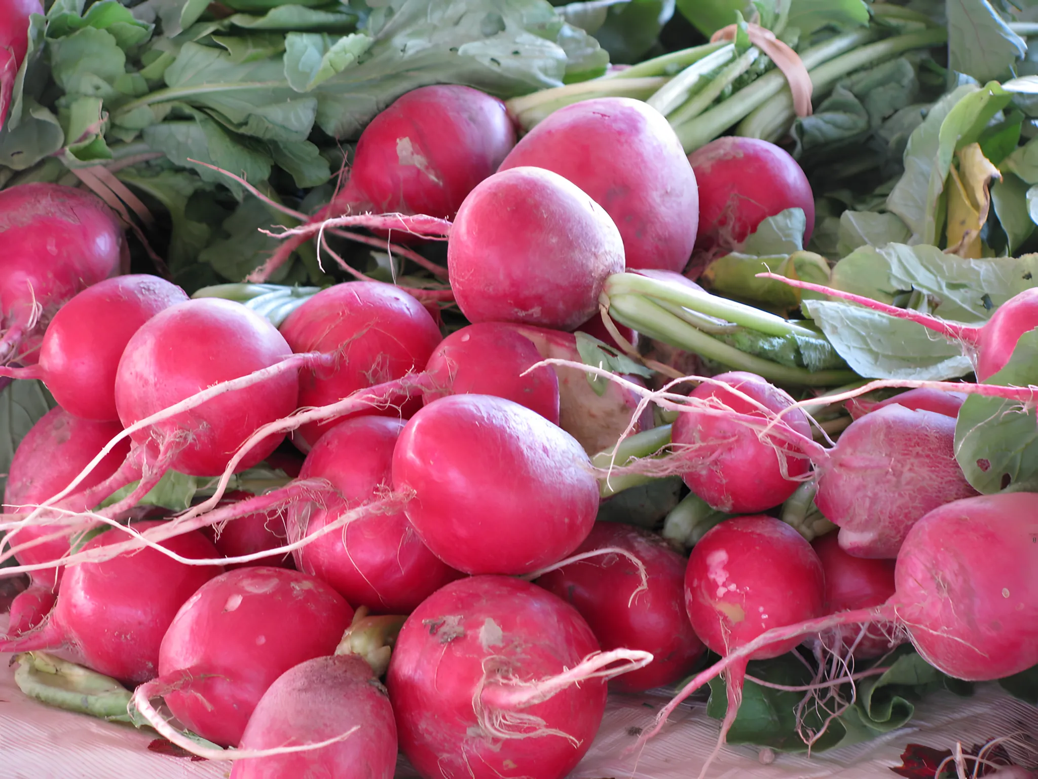 Radijs, radijs of daikon? Wat zijn deze hartige groenten en waarin verschillen ze?