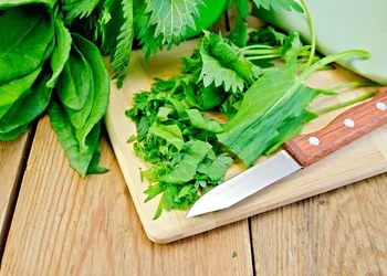 Groene soep met jonge brandnetels en zuring - lekker en gezond, en gemakkelijk te bereiden