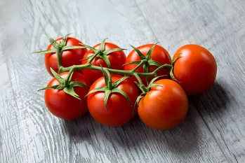 Hoe moet je tomaten bewaren om ze vers te houden?